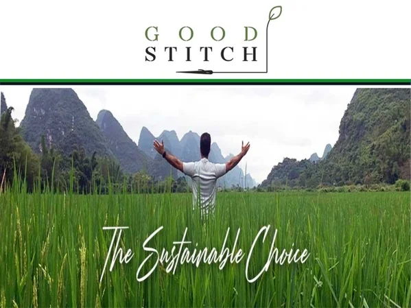 Organic cotton t shirts