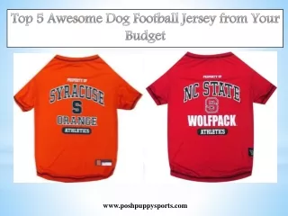 Top 5 Awesome Dog Football Jersey from Your Budget