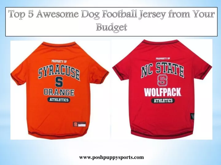 top 5 awesome dog football jersey from your budget