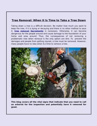 tree removal when it is time to take a tree down