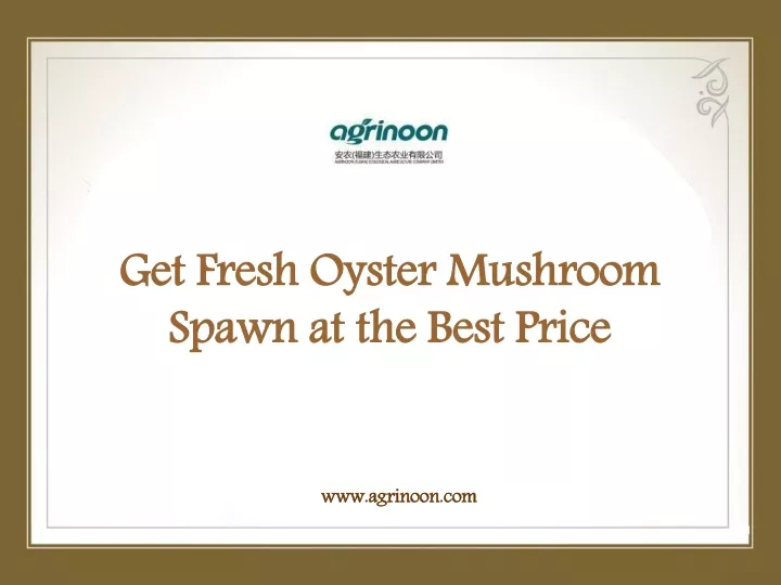 get fresh oyster mushroom spawn at the best price