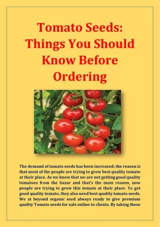 tomato seeds things you should know before