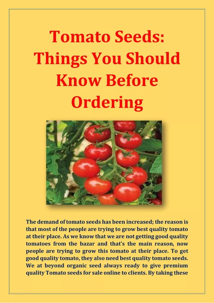 tomato seeds things you should know before