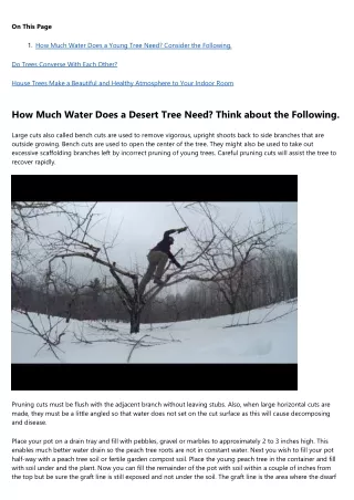 The Worst Videos of All Time About tree removal