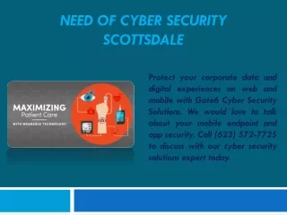 Need of Cyber Security Scottsdale