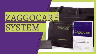 zaggocare system