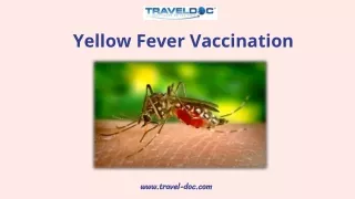 yellow fever vaccination