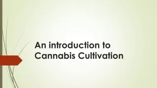 an introduction to cannabis cultivation