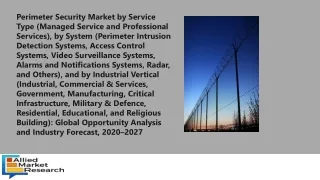 perimeter security market by service type managed