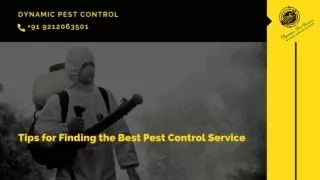 Tips for Finding the Best Pest Control Service