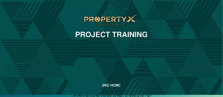 project training