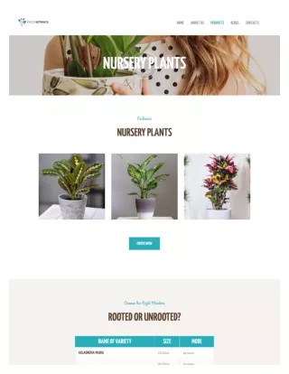 Best Vendor for Nursery Plants in Florida