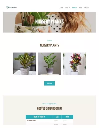 Best Vendor for Nursery Plants in Florida