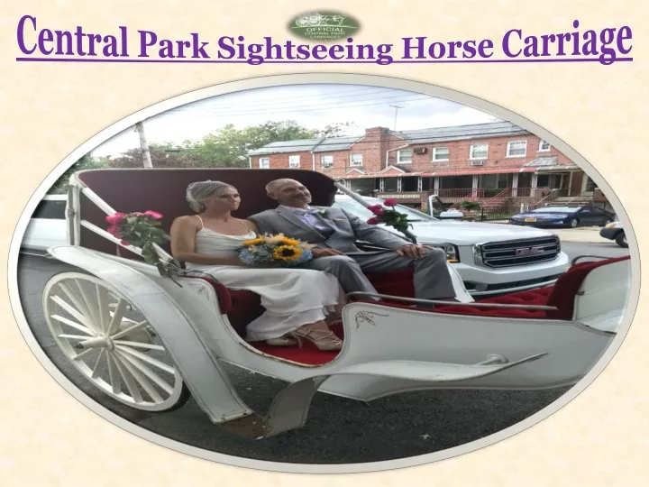 central park sightseeing horse carriage
