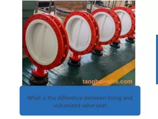 What is the difference between lining and vulcanized valve seat