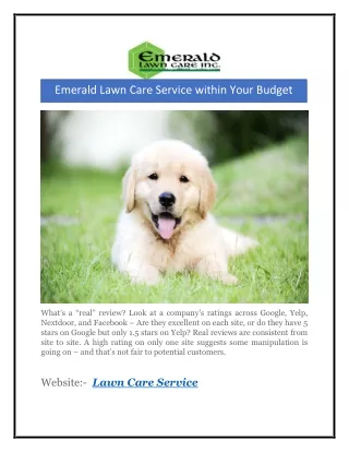 Emerald Lawn Care Service within Your Budget