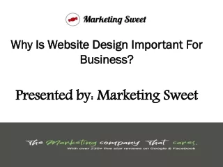Why Is Website Design Important For Business