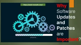 why software updates and patches are important