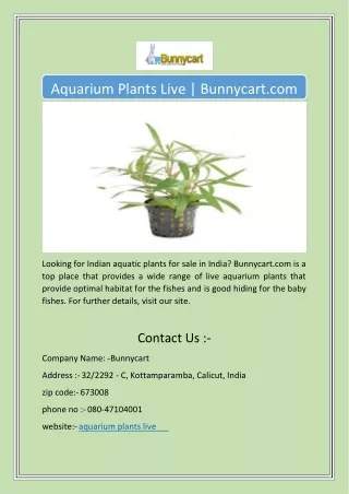 Aquarium Plants Live | Bunnycart.com