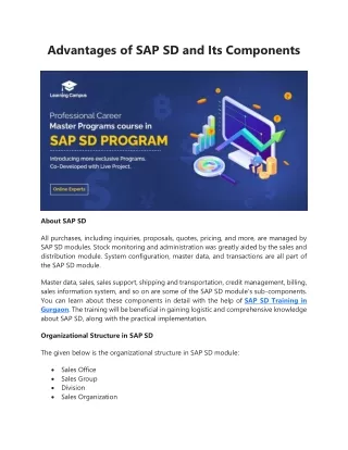 Advantages of SAP SD and Its Components