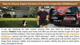 How to Choose Expert Services of Termites Inspection Middletown