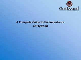 A Complete Guide to the Importance of Plywood