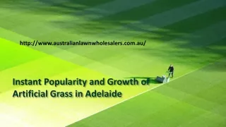 Instant Popularity and Growth of Artificial Grass in Adelaide