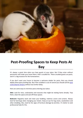 Pest-Proofing Spaces to Keep Pests At Bay
