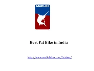 Best Fat Bike in India at Good Cost
