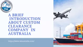 Best Customs Clearance Company