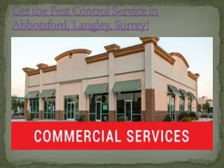 Mouse Control Abbotsford