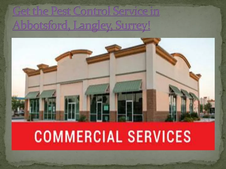 get the pest control service in abbotsford langley surrey