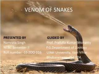 Snakes venom