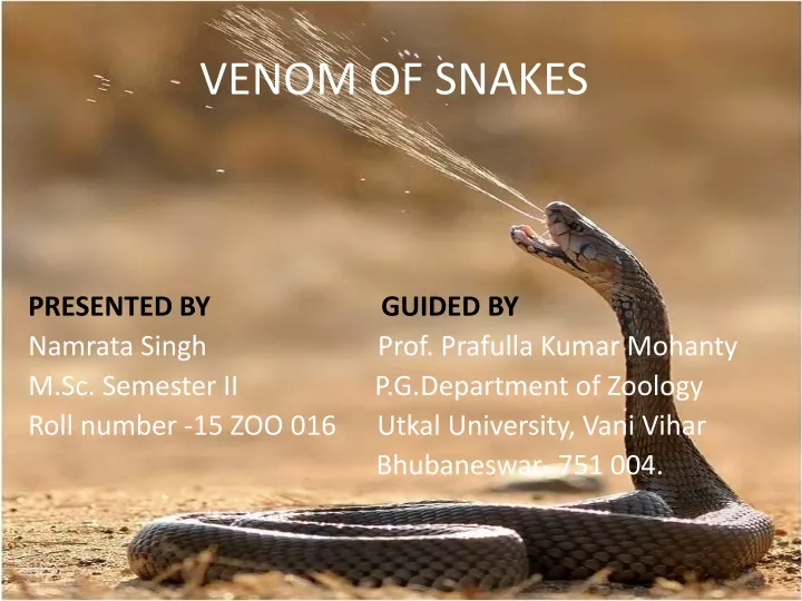 venom of snakes