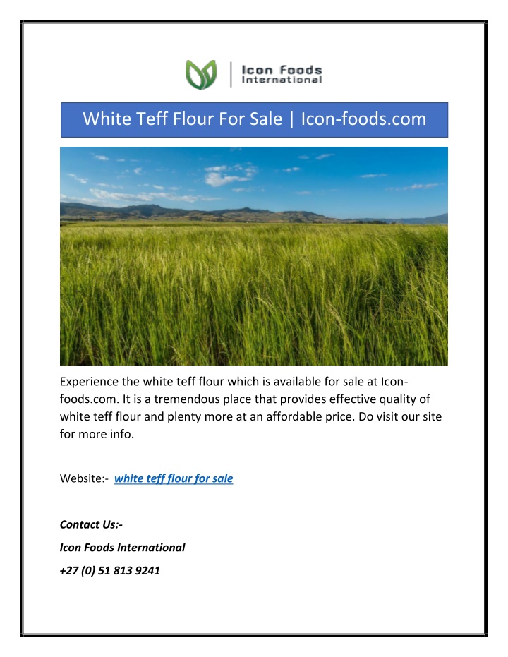white teff flour for sale icon foods com