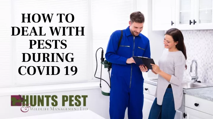 how to deal with pests during covid 19