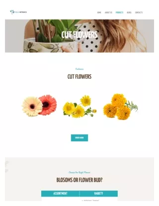 Best Vendor for Cut Flowers in USA