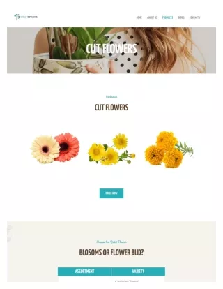 Best Vendor for Cut Flowers in USA