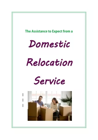 the assistance to expect from a domestic