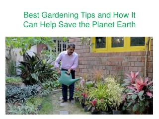 best gardening tips and how it can help save the planet earth