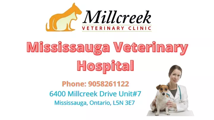 mississauga veterinary mississauga veterinary