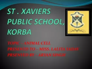 Animal cell
