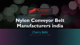 Nylon Conveyor Belt Manufacturers india