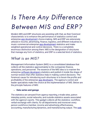 is there any difference between mis and erp