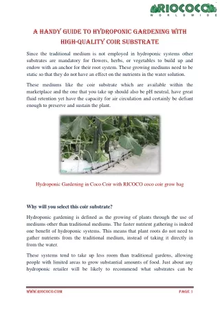 a handy guide to hydroponic gardening with high
