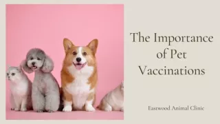 The Importance of Pet Vaccinations