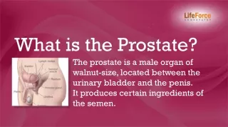 Know Everything About Prostatitis Homeopathic Treatment