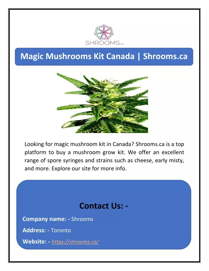 magic mushrooms kit canada shrooms ca