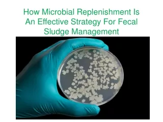 how microbial replenishment is an effective strategy for fecal sludge management