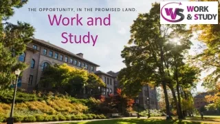 the opportunity in the promised land
